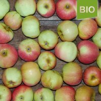 Adersleber Kalvill Bio-Äpfel 5kg|truncate:60