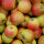 Bio-Äpfel 3kg-Steige