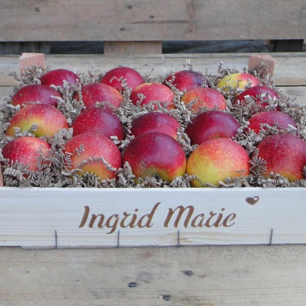 Ingrid Marie Bio-Äpfel 3kg-Kiste