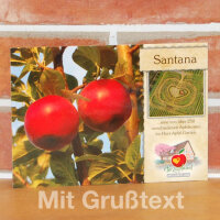 Santana Apfel / Souvenirs / Grußkarte|truncate:60