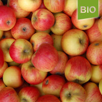 Geheimrat Breuhahn Bio-Äpfel 5kg|truncate:60