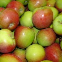 Jamba Äpfel 5-kg Steige|truncate:60
