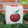 Roter Logo-Apfel in Weihnachtsbox Einzelversand ab 100 Stk.