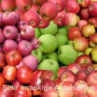 Apfel-Probierpaket - Knackige Apfelsorten 5kg|truncate:60
