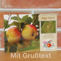 Grußkarte Signe Tillisch Apfel