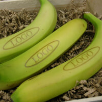 LOGO-Banane|truncate:60