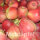 Mostäpfel 13kg krumme Früchte / Gloster