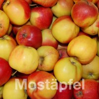 Mostäpfel 13kg krumme Früchte / Gala