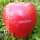 25 rote Logo-Äpfel Laser in rustikaler Obstkiste