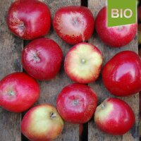 Rotfranche Bio-Äpfel 5kg