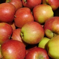 Braeburn Äpfel 6kg|truncate:60