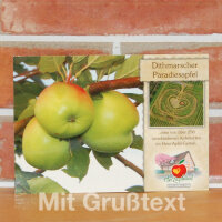 Grußkarte Dithmarscher Paradiesapfel|truncate:60