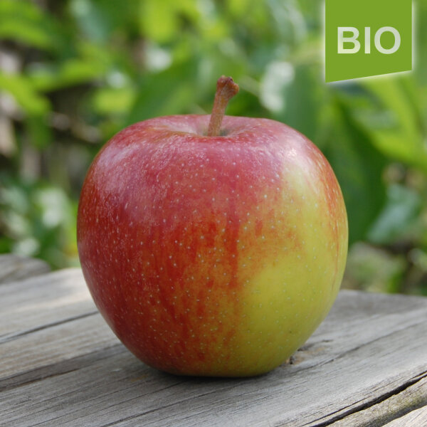 Bio-Apfel Einzelbox / Natyra