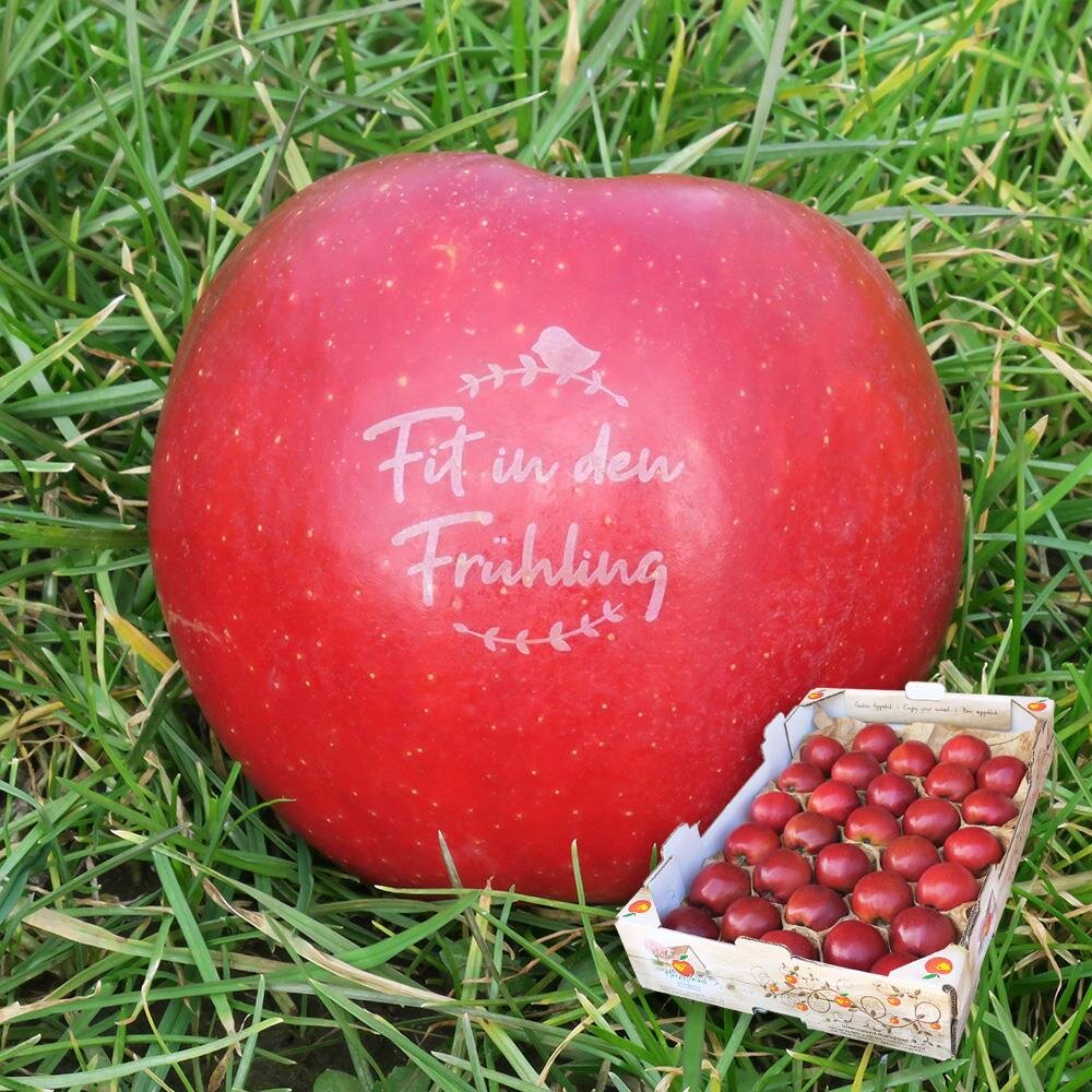 € -Aktionspaket-, 39,90 30 Frühlings-Äpfel leckere