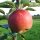 Rubinette Bio-Äpfel 3kg-Kiste