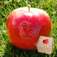 Apfel mit Branding - Apfel mit Wurm