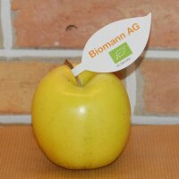 Gelb-grüner Bio-Apfel mit individuellem Werbeblatt|truncate:60