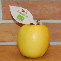 Gelb-grüner Bio-Apfel mit individuellem Werbeblatt