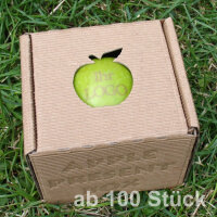grüner Logo-Apfel Laser in 1er Apple Present Box