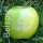grüner Logo-Apfel Laser in 1er Apple Present Box