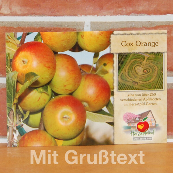 Grußkarte Cox Orange Apfel