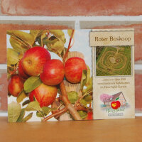 Ansichtskarte Roter Boskoop Apfel