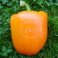 LOGO-Paprika orange