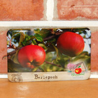 Magnet (Flexi) Berlepsch Apfel