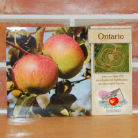Ansichtskarte Ontario Apfel