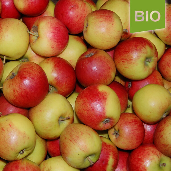 Erwin Baur Bio-Äpfel 5kg