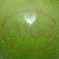 Grüner Logo-Apfel
