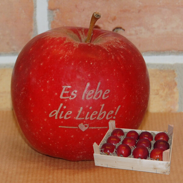 Liebesapfel rot / Es lebe die Liebe! / 12 Äpfel Holzkiste / Kiste ohne Branding