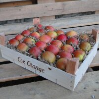 Cox Orange Äpfel 3kg-Kiste