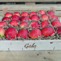 Gala Bio-Äpfel 3kg-Kiste|truncate:60