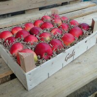 Gala Bio-Äpfel 3kg-Kiste