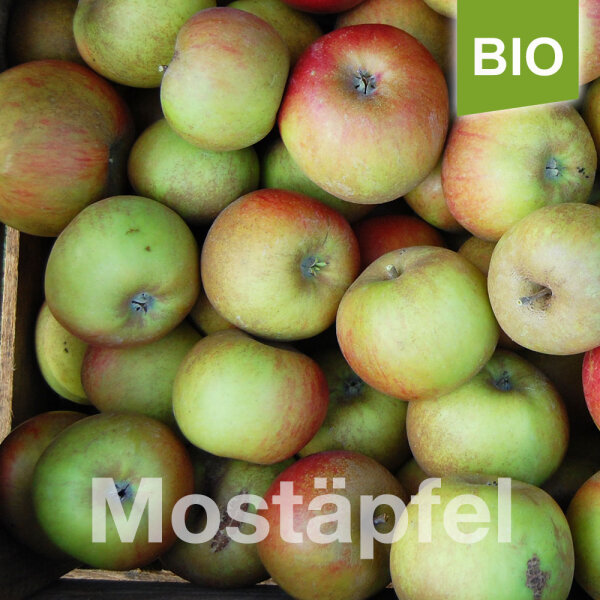Mostapfel 13kg Bio-Ribston Pepping-Saftäpfel