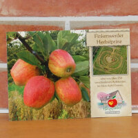 Ansichtskarte Finkenwerder Herbstprinz Apfel I|truncate:60
