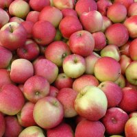 Bio-Äpfel 3kg-Steige / Jonagold