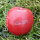 Roter mini Logo-Apfel - für Ihre individuellen Anlässe