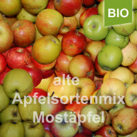 Mostäpfel 13kg krumme Früchte / Alte Sortenmix