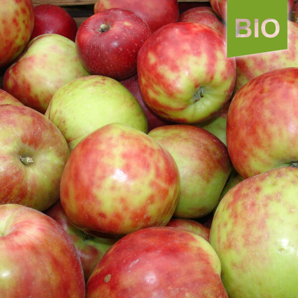 Bio-Gravensteiner-Äpfel 5kg