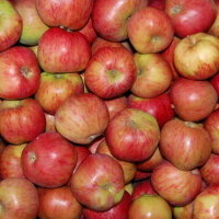 Lord Suffield Bio-Äpfel 5kg|truncate:60