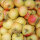 Mostäpfel 13kg krumme Früchte / Elstar