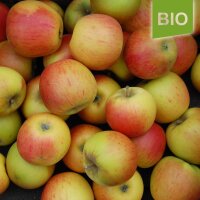 Bio-Äpfel 5kg-Steige / Alte Apfelsorten 5 vers.Sorten