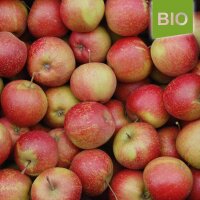 Bio-Äpfel 5kg-Steige / Alte Apfelsorten 5 Sorten
