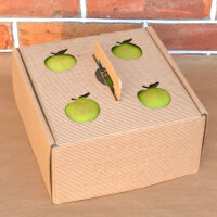 4 grüne Logo-Äpfel Laser in 4er Apple Present...