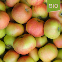 Bramleys Sämling Bio-Äpfel 5kg|truncate:60