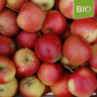 Bio-Elise Äpfel 5kg