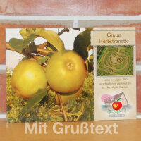 Grußkarte Graue Herbstrenette Apfel|truncate:60