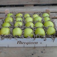 Nicogreen Bio-Äpfel 3kg-Kiste